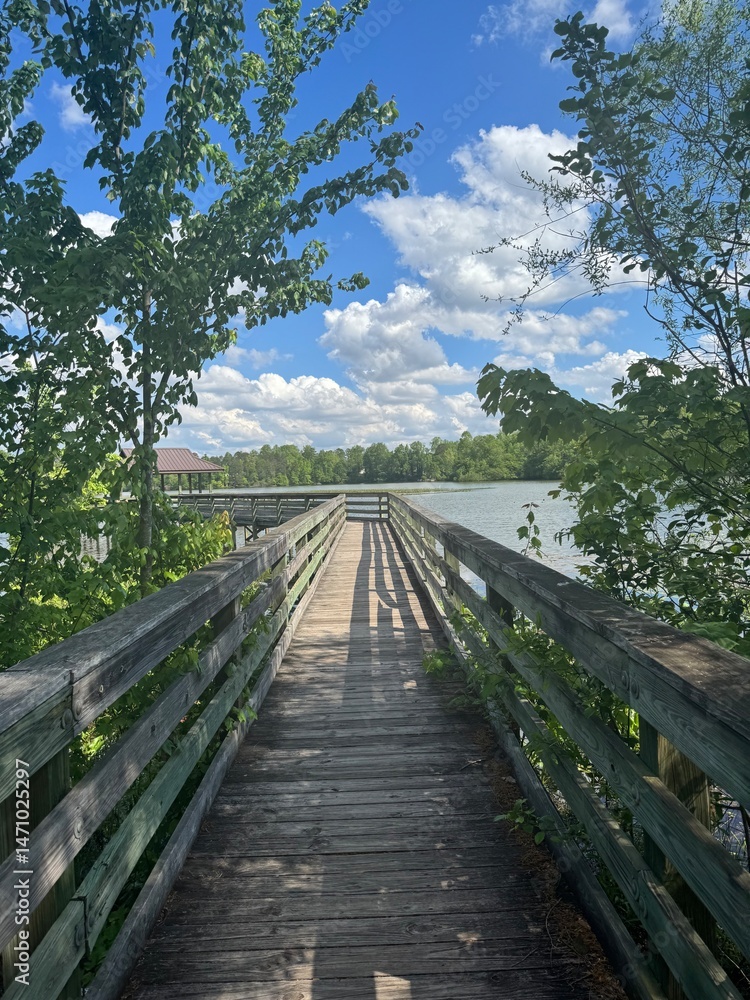 Fototapeta premium wooden bridge in the forest