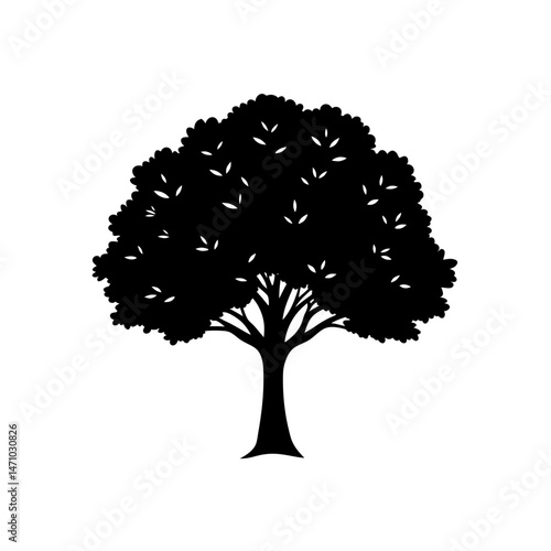 tree canopy silhouette on white background 