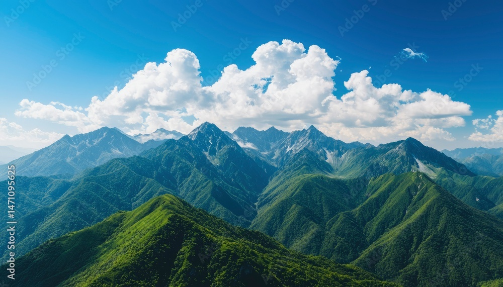 Fototapeta premium Mountain range with lush forests and blue sky