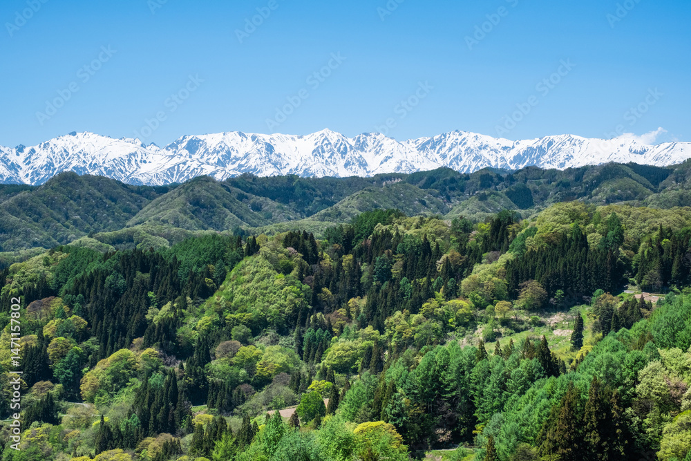 Fototapeta premium 小川村アルプス展望デッキ ５月