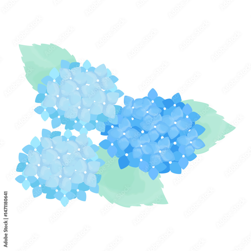 Fototapeta premium Hydrangea Cut Illustration Blue – あじさい 青 カットイラスト