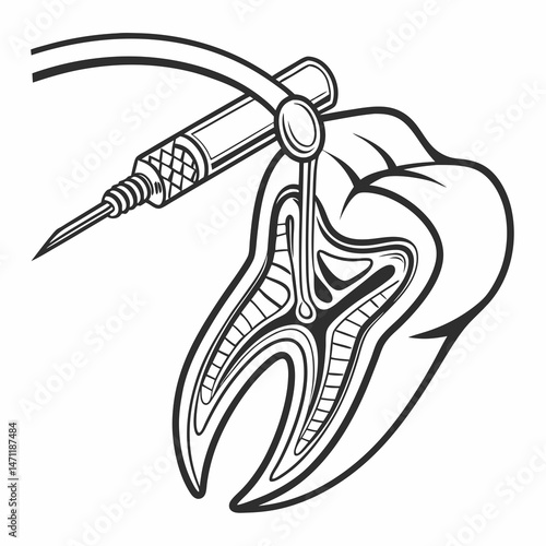 Realistic molar icon with reflections and professional white background
