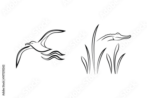 Vector illustration of a flying seagull and alligator in reeds in simple outlines