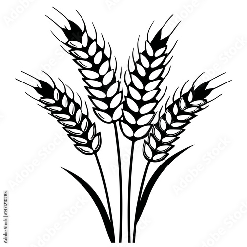 Wheat Silhouette Vector , Bold Black and White Wheat Ears Illustration