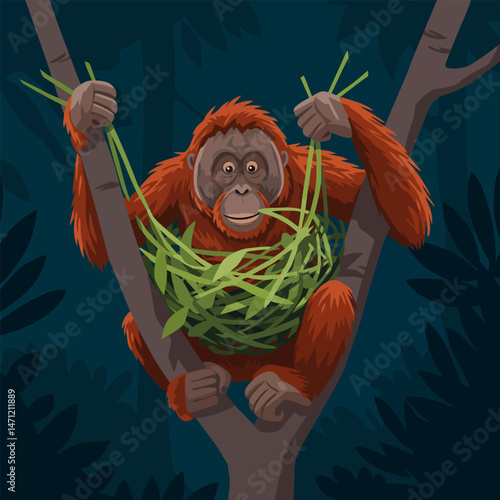 Orangutan Holding Nesting Material While Sitting in a Tree Branch