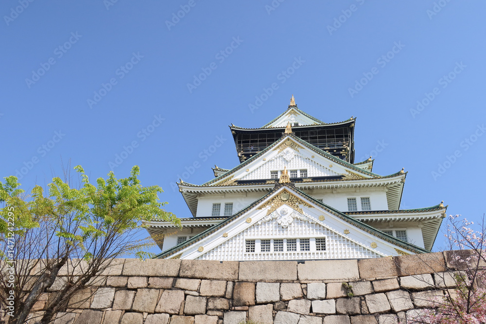 Fototapeta premium Osaka, Japan - April 14, 2024: Osaka Castle, a famous Japanese landmark, surrounded by pink sakura trees under a blue sky.