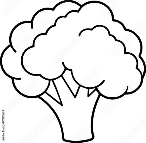 broccoli outline vector illustraion