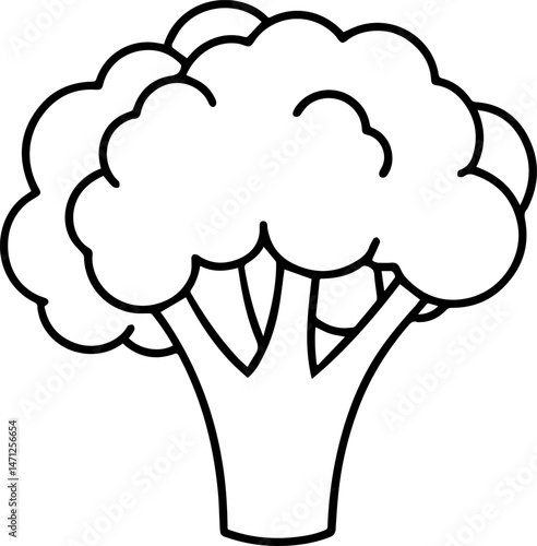 broccoli outline vector illustraion