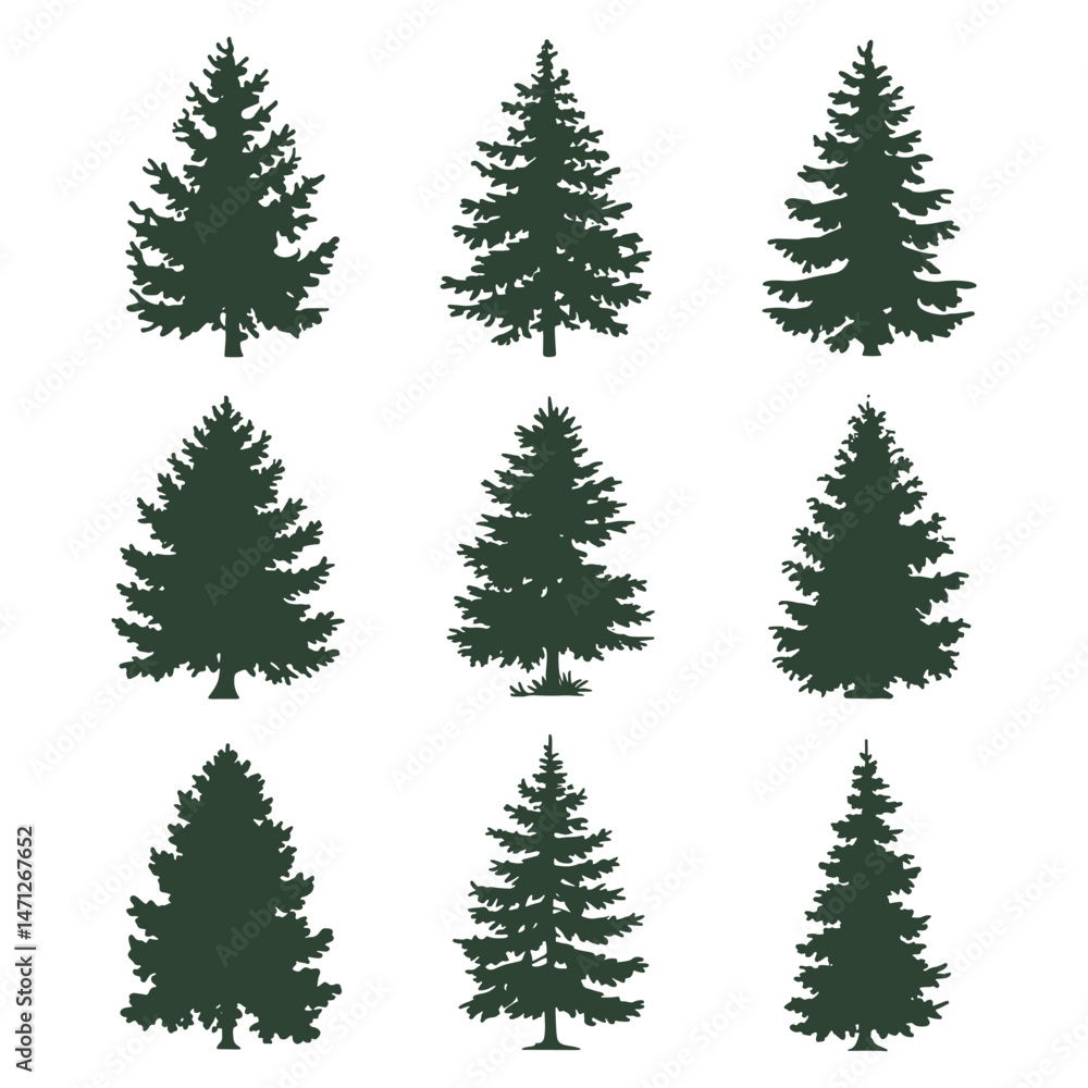 Pine tree silhouettes. Evergreen forest firs and spruces black shapes, wild nature trees templates. Pine tree silhouettes. Evergreen forest firs and spruces black shapes, wild nature trees templates.