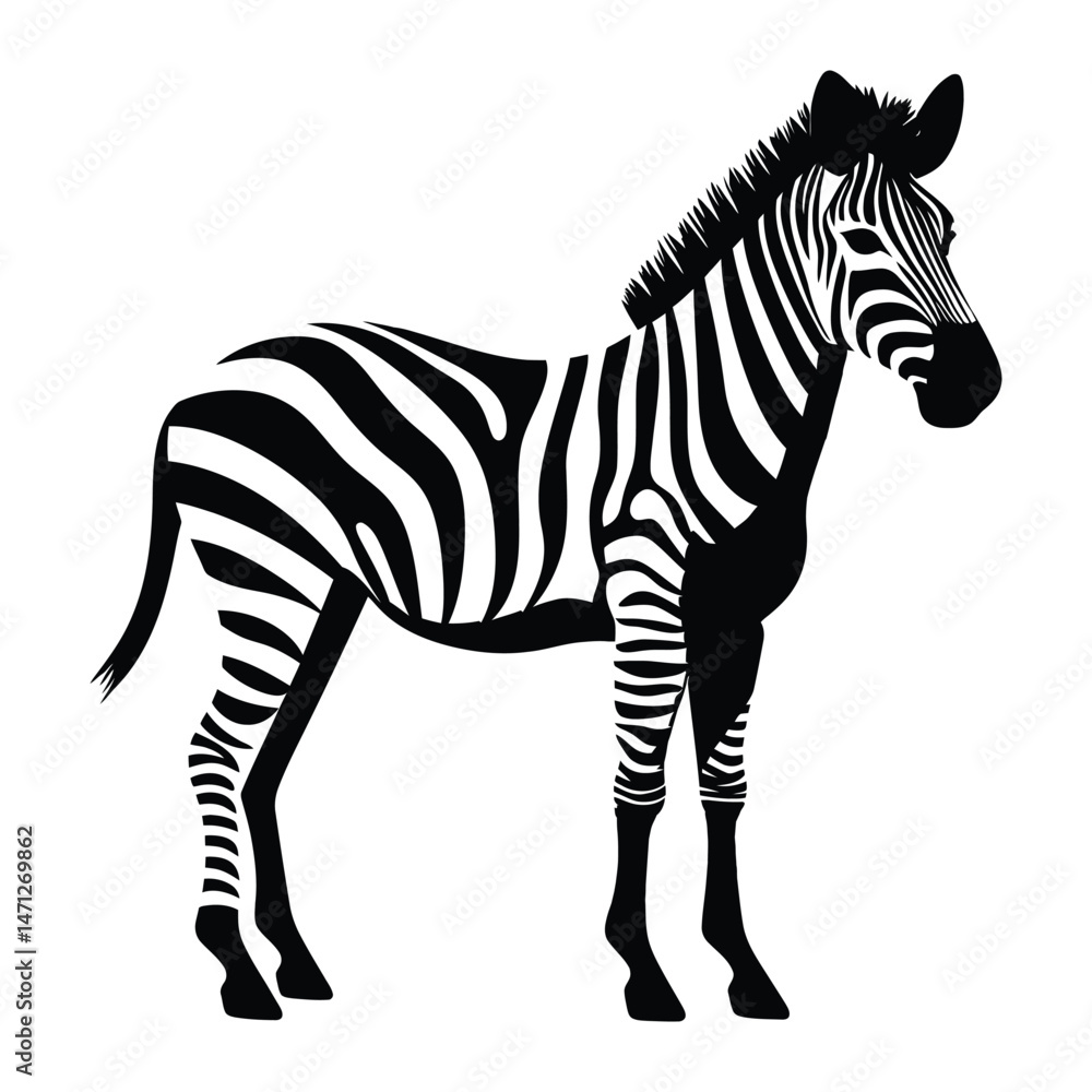 Fototapeta premium Zebra silhouette clipart on a white background