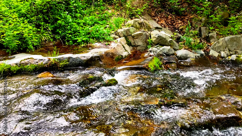 Fototapeta premium Slow Motion Drone Footage of Crystal-Clear Stream Flow in a Serene Forest Valley, Featuring Gentle Ripples, Tranquil Water Sounds, and the Pristine Beauty of Nature