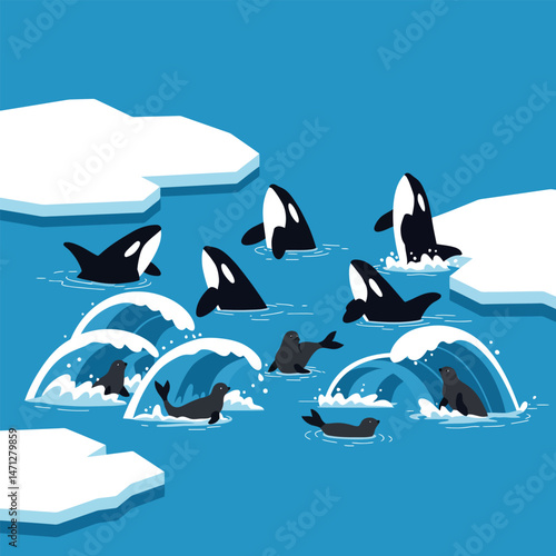 Orcas and Seals Playing in Arctic Waters with Icebergs Graphics