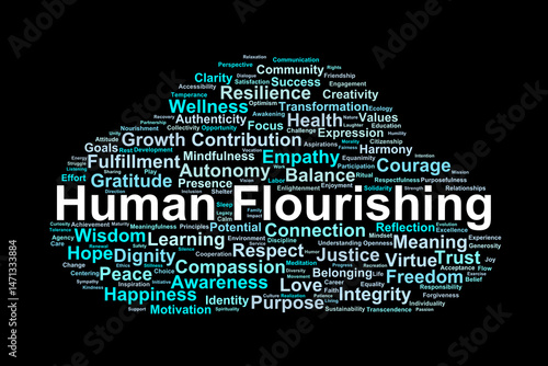 Fotografia Human Flourishing Word Cloud