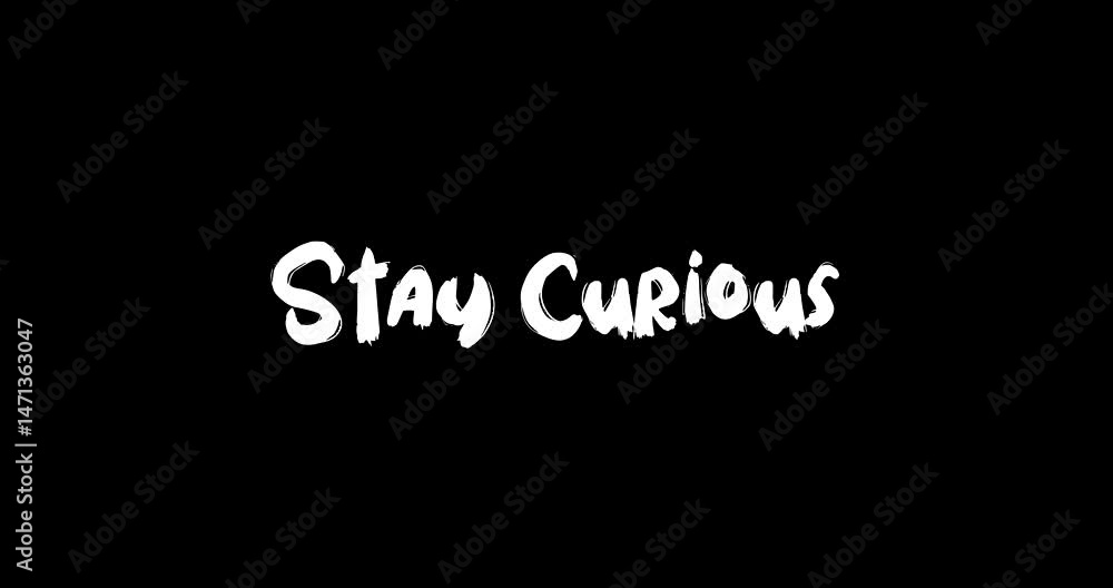 Stay Curious. Bold Text Typography Quotation Grunge Transition Animation Effect