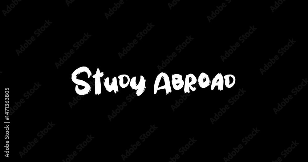 Study Abroad Bold Text Typography Quotation Grunge Transition Animation Effect Study Abroad Bold Text Typography Quotation Grunge Transition Animation Effect