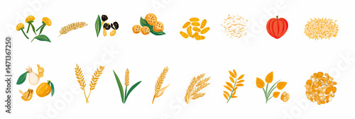 Set of grain and cereal vector icons including wheat stalks, barley, oats, corn kernels, rice grains, millet, and various seeds in flat minimalist style