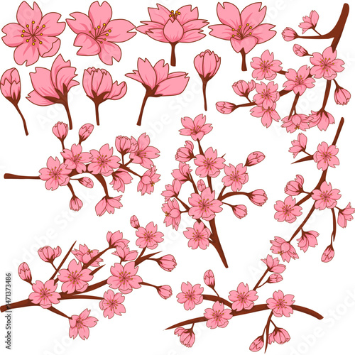Set of pink cherry blossom