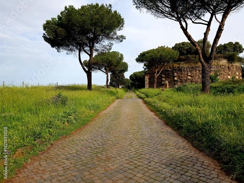 Rome, Italy. The ruins of the ancient Roman city.