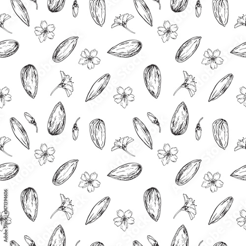 Almond vector seamless pattern hand drawn with ink. Black and white nuts and flowers .Template for food and drink label design and textile decoration