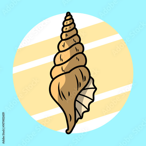 snail shell illustration