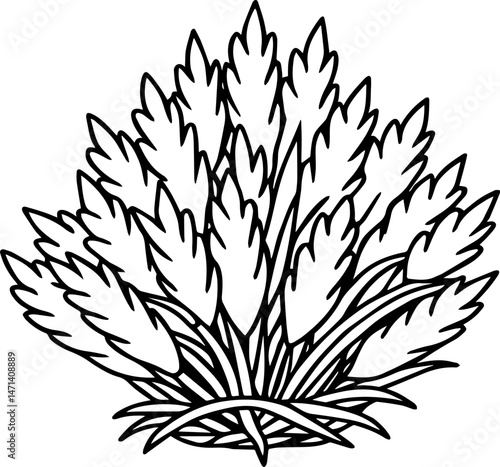 Hay outline vector illustration, line art