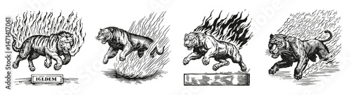 Dynamic Illustration of a Tiger in Flames with Action Elements, vector illustration, engraving design, logo design set, black and white line