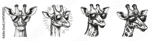 Stylish Giraffes with Sunglasses, Cartoon Illustrations and Designs, vector illustration, engraving design, logo design set, black and white line