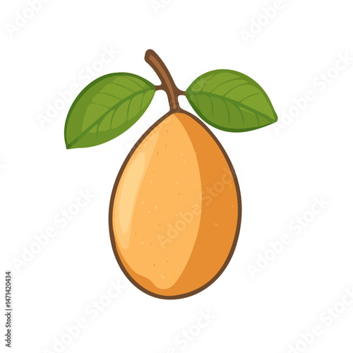 My Simple flat 2D illustration of sapodilla collection isolated on a transparent background, vector, flat design, animation design, simple flat 2D icon, clipart