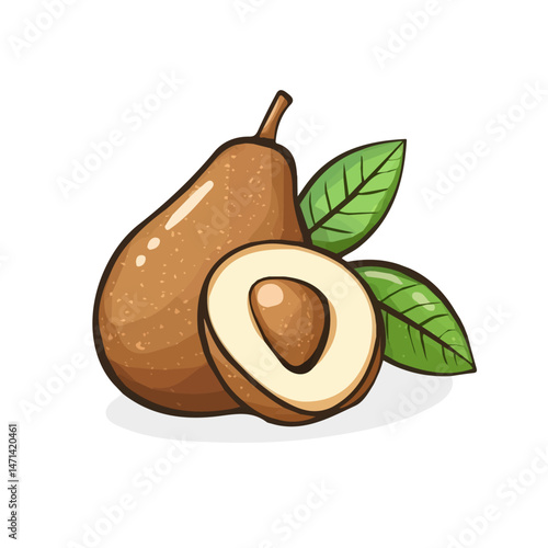 My Simple flat 2D illustration of a sapodilla collection isolated on a transparent background, vector, flat design, animation design, simple flat 2D icon, clipart