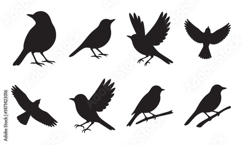bird species silhouette vector graphic pack
