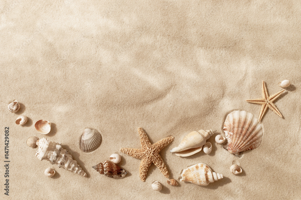 Top view of a sandy beach with collection of seashells and starfish as natural textured background for aesthetic summer travel and vacation design Top view of a sandy beach with collection of seashells and starfish as natural textured background for aesthetic summer travel and vacation design