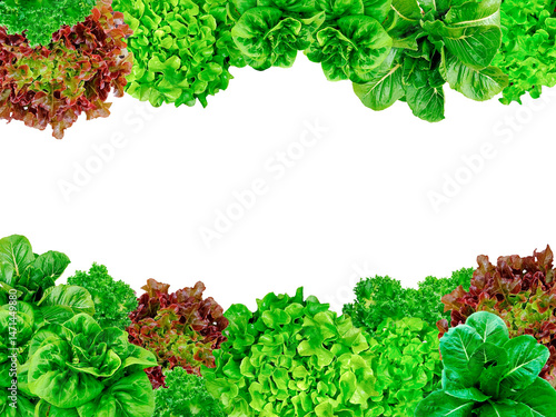 Frame set of lettuce leaves isolated on a white background.