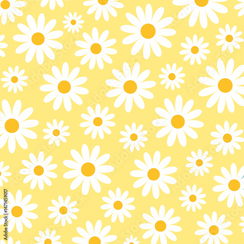Seamless pattern with daisy flower, vector illustration
