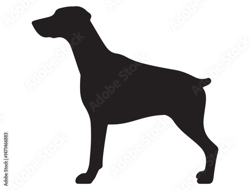 DOBERMAN DOG SILHOUETTE