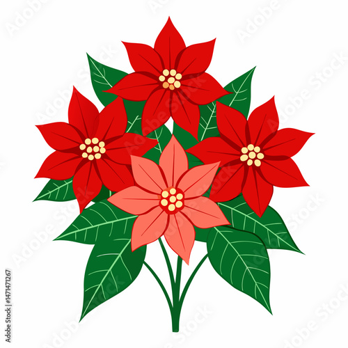 Poinsettia Bouquet Vector on White