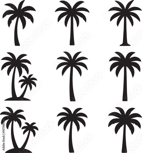 palm tree silhouette