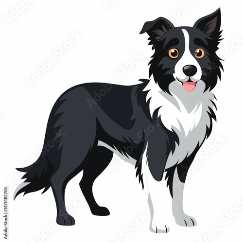 Minimalist Border Collie Vector on White Background