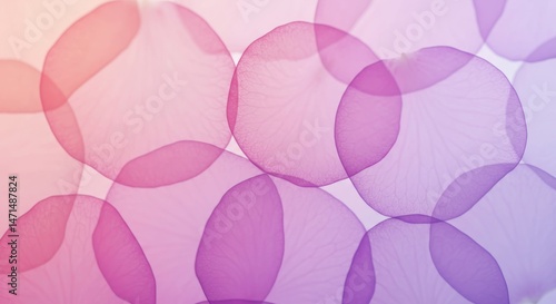 Delicate, translucent petals in a soft, pastel color scheme.