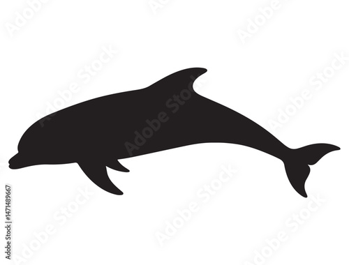 DOLPHIN SILHOUETTE WHITE BACKGROUND