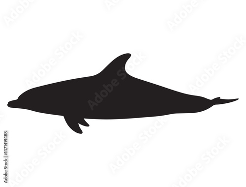 DOLPHIN SILHOUETTE WHITE BACKGROUND
