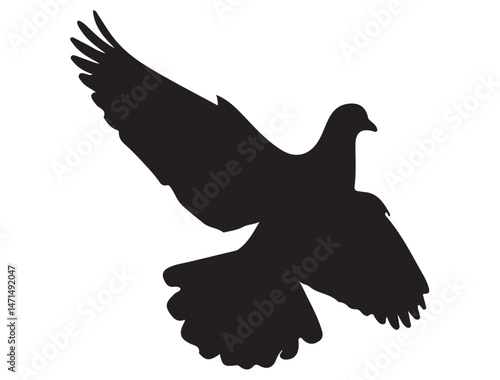 DOVE SILHOUETTE WHITE BACKGROUND