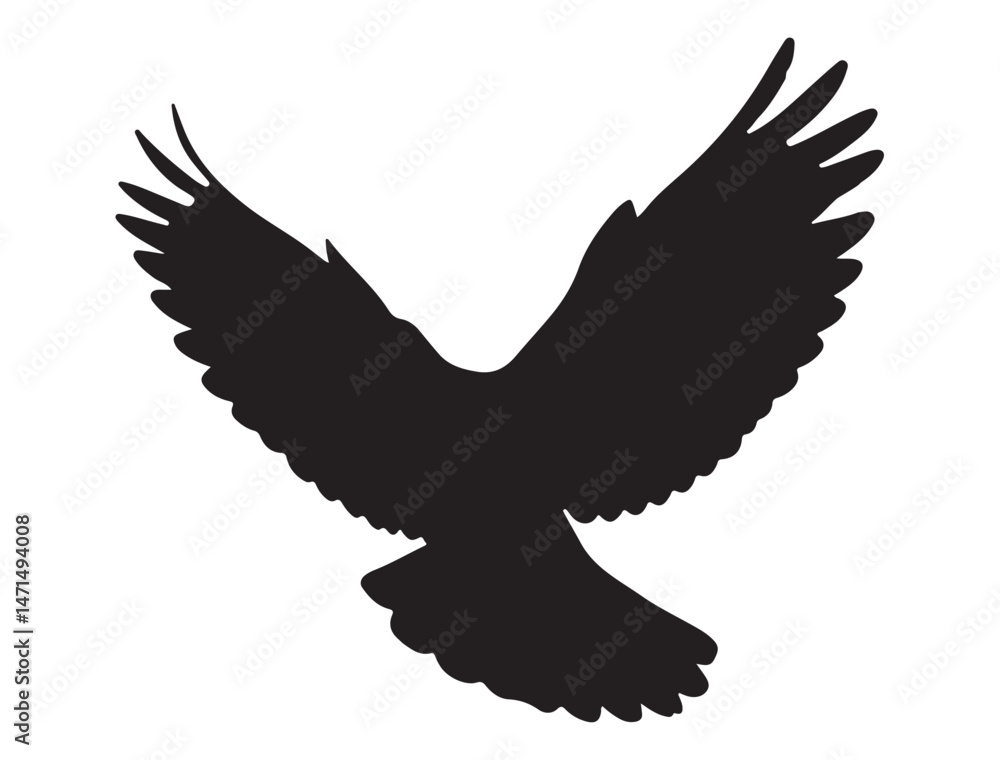 Obraz premium DOVE SILHOUETTE WHITE BACKGROUND