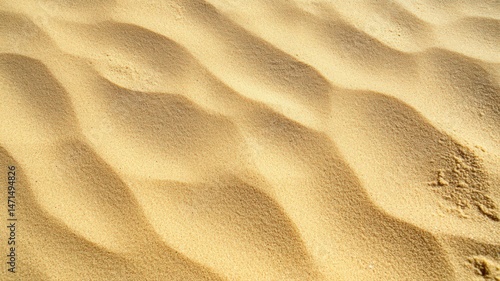 Fototapeta Naklejka Na Ścianę i Meble -  Fine Sand Texture with Natural Ripples and Soft Golden Light