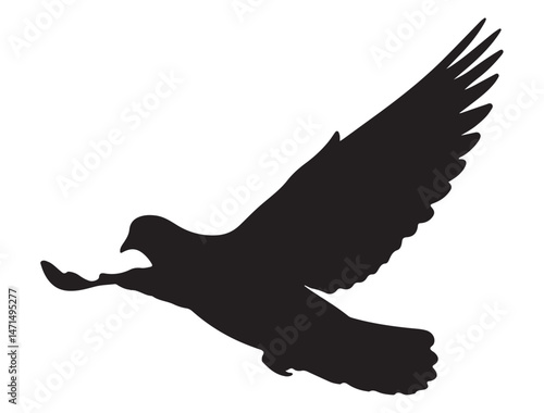 DOVE SILHOUETTE WHITE BACKGROUND
