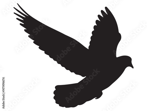 DOVE SILHOUETTE WHITE BACKGROUND