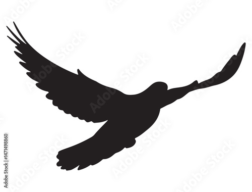 DOVE SILHOUETTE WHITE BACKGROUND