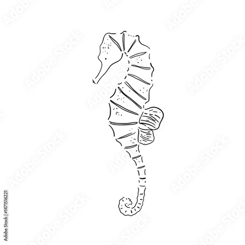 Minimalist hand drawn seahorse line art illustration
