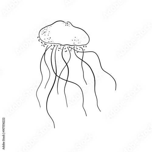 Whimsical jellyfish line art sketch isolated