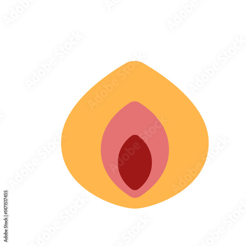 Illustration of a stylized flame with orange, pink, and red layers forming a teardrop shape on white background