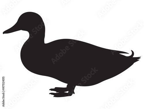 DUCK SILHOUETTE WHITE BACKGROUND